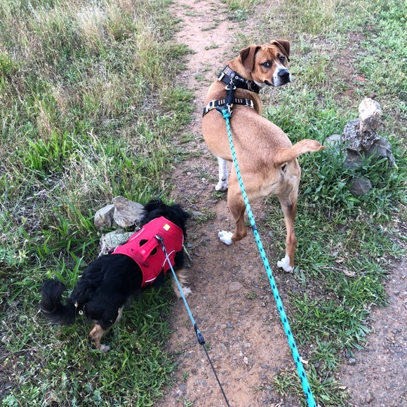 Lori & Roadie say hi! - Picture 10 of 15